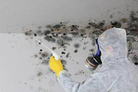 Best Mold Remediation for Healthcare Facilities  in River Falls, WI